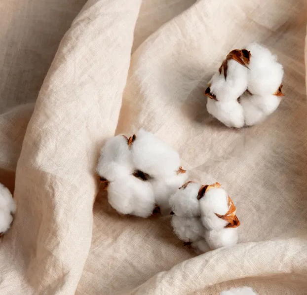 %100 Pamuklu, Gün Boyu Konfor